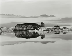 Iceland Photographs by Paula Chamlee